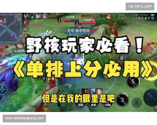 顶级崛起修改器十大实用功能全面解析助你轻松掌控游戏体验 顶级崛起修改器十大实用功能全面解析助你轻松掌控游戏体验