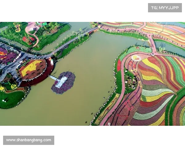 全面解析如何快速全面系统地了解欧协杯决赛规则的全方位实用指南