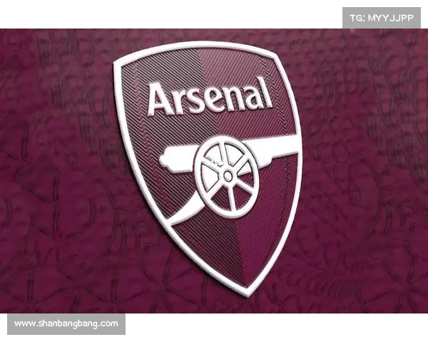 全面解析阿森纳队徽百年传承与视觉身份演化发展的深度探索之路