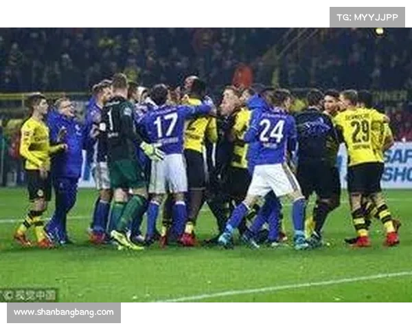 深入分析法尔范在沙尔克04的踢位及其战术作用和贡献 深入分析法尔范在沙尔克04的踢位及其战术作用和贡献