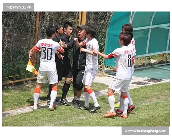 如何科学评估中超联赛裁判判罚失误与漏判现象及其影响