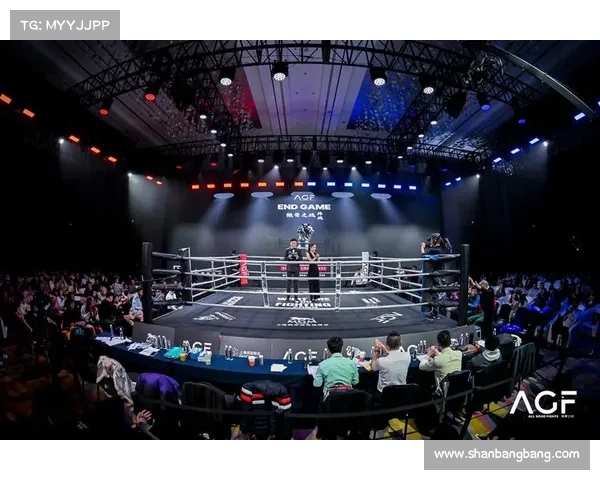 拳击赛事全程解析 从赛前准备到赛后评判的完整流程揭秘