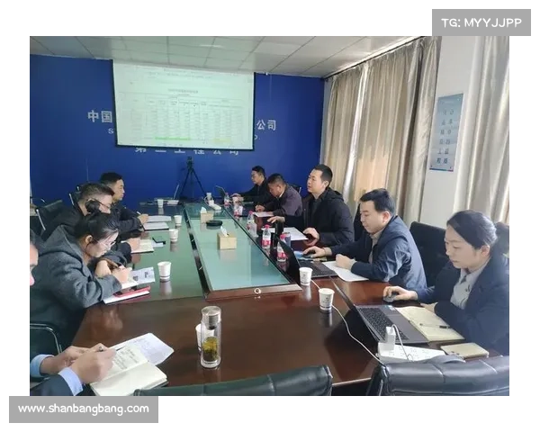 提升足球俱乐部财务管理水平实现可持续发展与盈利能力优化